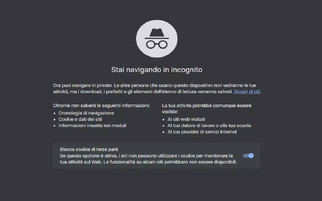 navigare incognito